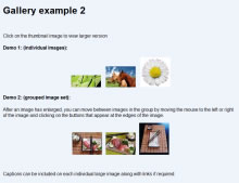 Gallery 2 example