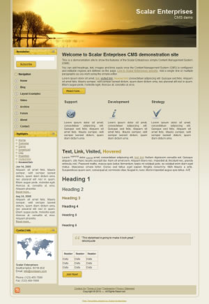 Scalar Enterprises template example